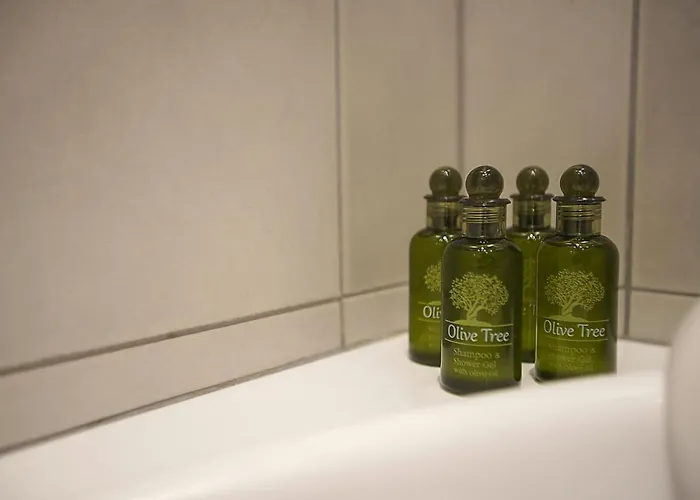 Vilă Luxury Traditional *